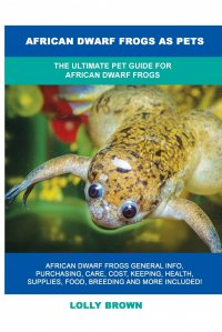 African Dwarf Frogs as Pets. The Ultimate Pet Guide for African Dwarf Frogs