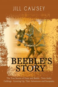 Beeble's Story. The True Stories of Praze and Beeble - Twin Arabs Geldings - Growing Up, Their Adventures and Escapades