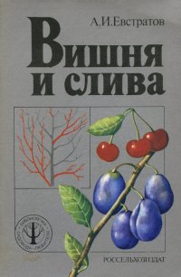 А. И. Евстратов - «Вишня и слива»