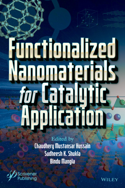 Группа авторов - «Functionalized Nanomaterials for Catalytic Application»