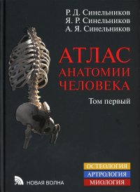 А. Я. Синельников, Р. Д. Синельников, Я. Р. Синельников - «Атлас анатомии человека. В 3 т. Т. 1: Учение о костях, соединении костей и мышцах: Учебное пособие. 8-е изд., перераб»