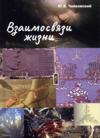 Взаимосвязи жизни. Миниэнциклопедия дополняет. Том 1. Т.1, А - П