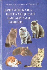 Британская и шотландская вислоухая кошки