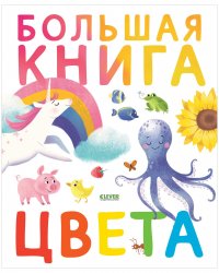 Найди и покажи. Большая книга. Цвета