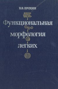 Функциональная морфология респираторного отдела легких