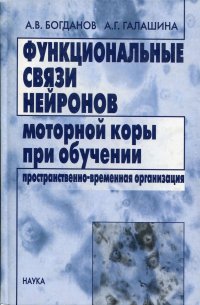 Функциональные связи нейронов моторной коры при обучении: пространственно-временная организация