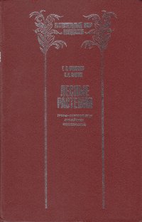 Лесные растения: грибы-макромицеты, лишайники, мохообразные