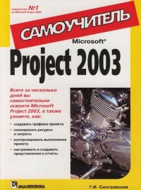 MS Project 2003