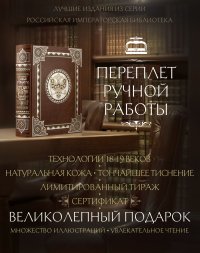 История России с древнейших времен Сергея Соловьева. Книга в коллекционном кожаном переплете ручной работы с многоцветным тиснением и окрашенным обрезом