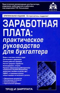 Заработная плата. Практическое руководство для бухгалтеров