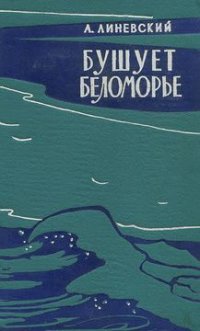 Бушует Беломорье. Книга 2