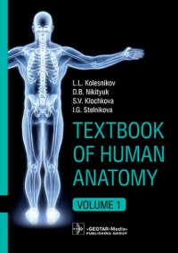 Л. Л. Колесников, Д. Б. Никитюк, С. В. Клочкова - «Textbook of Human Anatomy. In 3 vol. Vol. 1: Locomotor apparatus: на англ.яз»