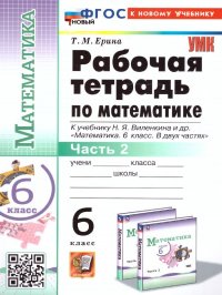 Математика 6 класс. Рабочая тетрадь Ч.2 ФГОС НОВЫЙ (к новому учебнику)