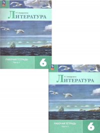 Литература 6 класс. Рабочие тетради. Комплект из 2-х частей (ФП 2022). УМК В. Я. Коровина, 6 кл