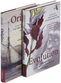 Evolution. Selected Letters 1860-1870 Origins: Selected Letters of Charles Darwin, 1822-1859 (комплект из 2 книг)