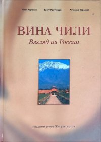 Вина Чили. Взгляд из России