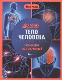 Елена Ульева: Тело человека: энциклопедия