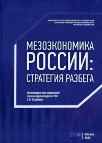 Мезоэкономика России. Стратегия разбега. Монография