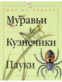 Муравьи,кузнечики,пауки