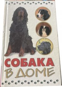 Собака в доме