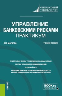 Управление банковскими рисками. Практикум. Учебное пособие