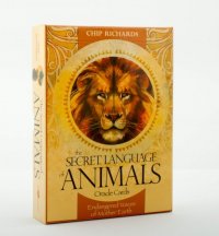 Secret Language of Animals (46 cards and 156-page guidebook)