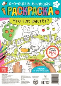 Что где растет? Раскраска-плакат