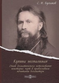 Купина неопалимая. Опыт догматического истолкования некоторых черт в православном почитании Богоматери