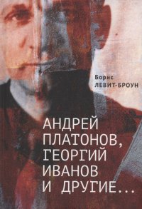 Андрей Платонов, Георгий Иванов и другие... Очерки, эссе,этюды