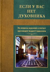 Если у вас нет духовника. На вопросы верующих отвечает протоиерей Андрей Спиридонов. 3-е изд