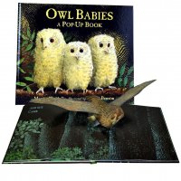 Owl Babies. Pop-up classic - Совята ждут маму. Книга-панорама