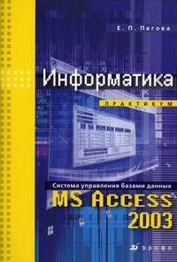 Информатика. Практикум MS Access 2003 (+ CD-ROM)