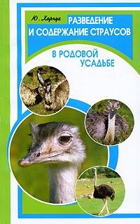 Разведение и содержание страусов в родовой усадьбе