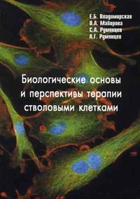 Биологические основы и перспективы терапии стволовыми клетками