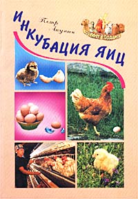 Инкубация яиц