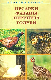 Цесарки, фазаны, перепела, голуби. Разведение, выращивание