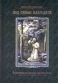 Под сенью благодати. Непридуманные истории чудес Саровской обители