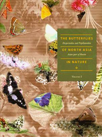 Бабочки Северо-Азиатской части России. Том 1 (подарочное издание)