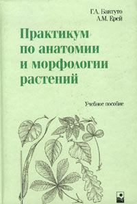 Практикум по анатомии и морфологии растений. Учебное пособие