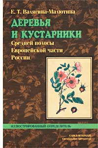 Деревья и кустарники Средней полосы Европейской части России