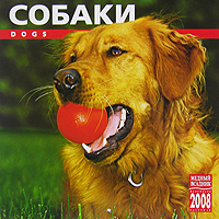 Календарь 2008 (на скрепке). Собаки