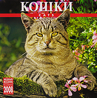 Календарь 2008 (на скрепке). Кошки