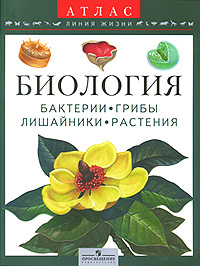 Биология. Бактерии, грибы, лишайники, растения