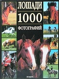 Лошади. 1000 фотографий