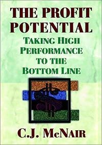 The Profit Potential : Taking High Performance to the Bottom Line