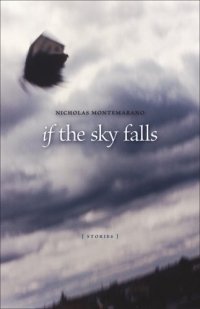 If The Sky Falls (Yellow Shoe Fiction Series)