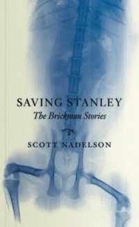 Saving Stanley: The Brickman Stories