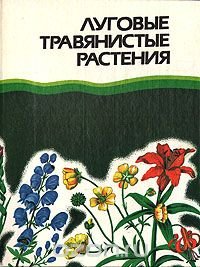 Луговые травянистые растения. Биология и охрана