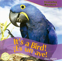 It?s a Bird! / iEs un ave! (Everyday Wonders / Maravillas De Todos Los Dfas)