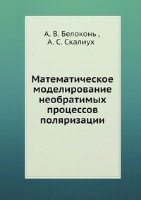 Математическое моделирование необратимых процессов поляризации